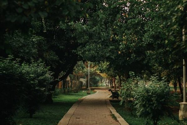 Quels sont les parcs les plus paisibles de Madrid ?