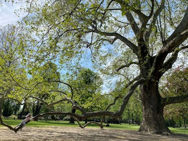 Comment le parc du Retiro contribue-t-il à la vie urbaine de Madrid ?